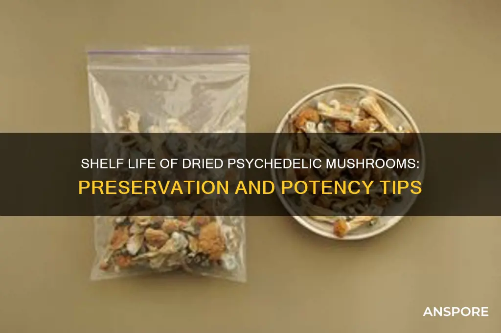 how long do dried psychedelic mushrooms