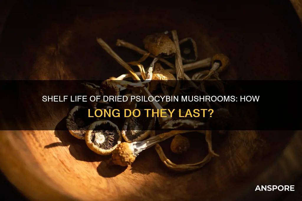 how long do dried psyllocibin mushrooms last