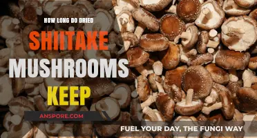 Shelf Life of Dried Shiitake Mushrooms: Storage Tips and Duration