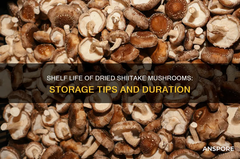 how long do dried shiitake mushrooms keep