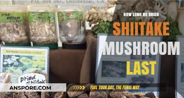 Shelf Life of Dried Shiitake Mushrooms: Storage Tips and Duration