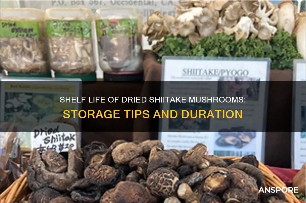 how long do dried shiitake mushrooms last