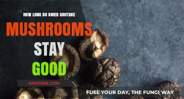 Shelf Life of Dried Shiitake Mushrooms: How Long Do They Last?