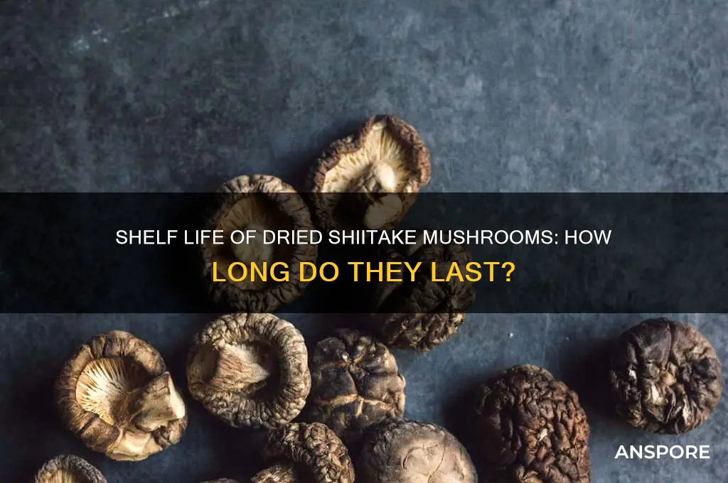 how long do dried shiitake mushrooms stay good