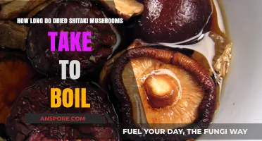 Boiling Dried Shiitake Mushrooms: Perfect Timing for Tender Results