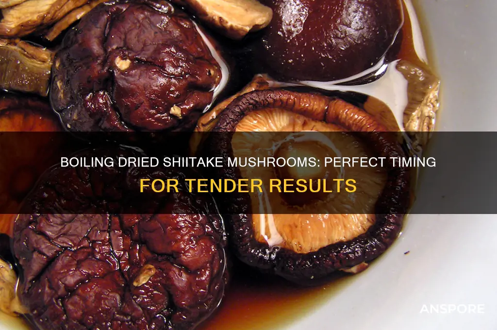 how long do dried shitaki mushrooms take to boil