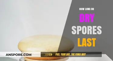 Dry Spores Lifespan: How Long Do They Remain Viable?