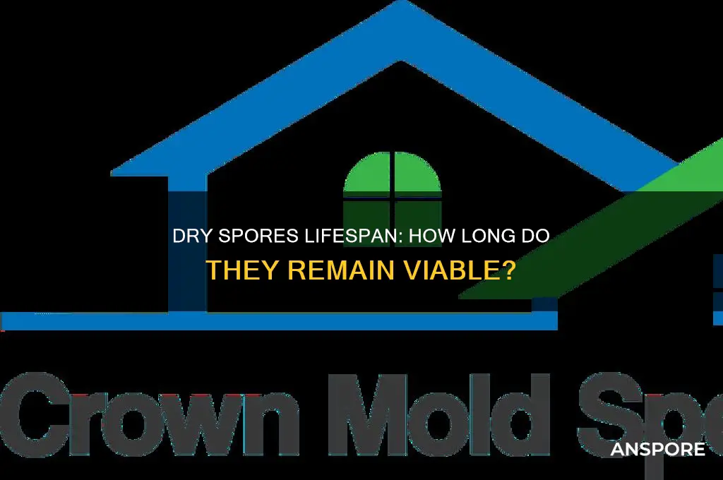how long do dry spores last