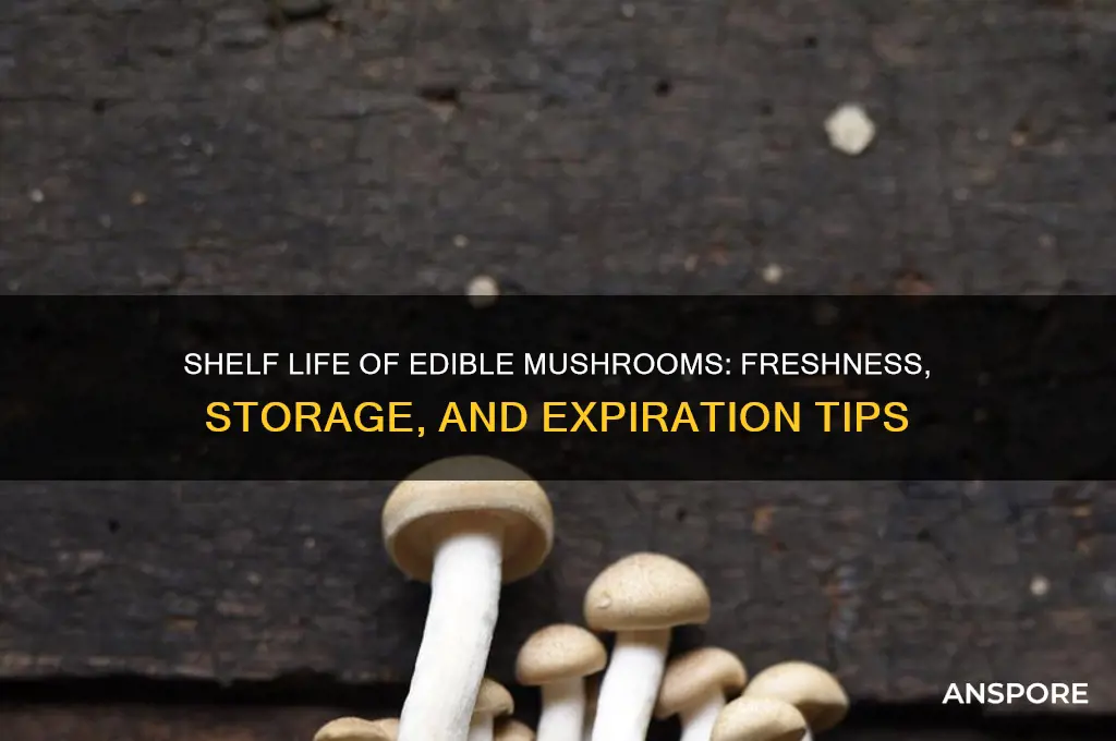 how long do edible mushrooms last