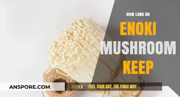 Enoki Mushrooms Shelf Life: Storage Tips for Freshness and Longevity