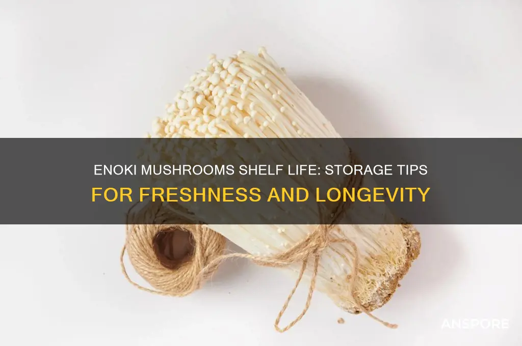 how long do enoki mushrooms keep
