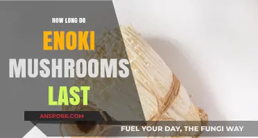 Enoki Mushrooms Shelf Life: Storage Tips and Freshness Duration