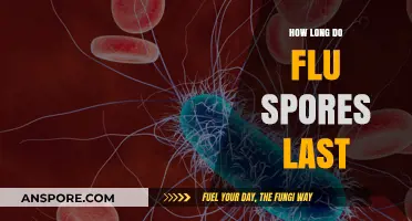 Surviving Flu Season: Understanding the Lifespan of Flu Spores