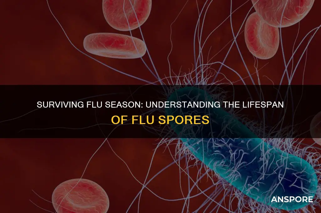 how long do flu spores last