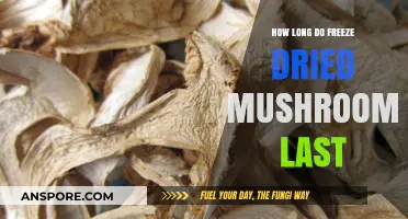 Freeze Dried Mushrooms Shelf Life: How Long Do They Last?