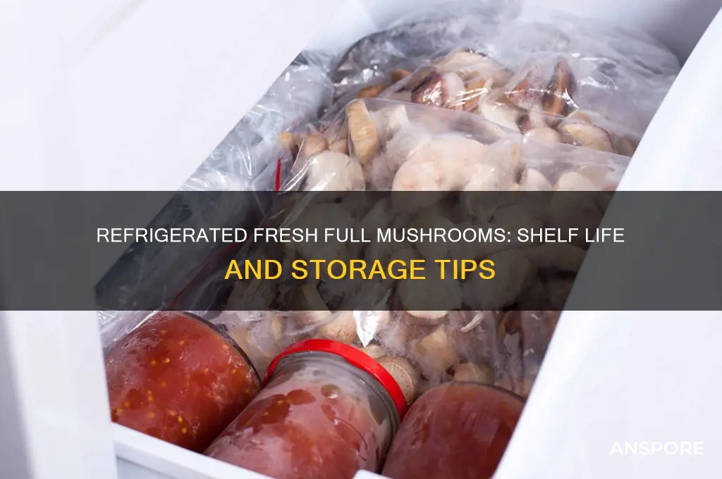 how long do fresh full mushrooms last refrigerated