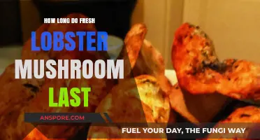 Fresh Lobster Mushroom Shelf Life: Storage Tips for Maximum Freshness