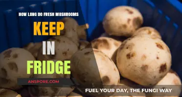 Fresh Mushrooms in the Fridge: Optimal Storage and Shelf Life Tips
