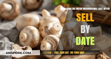 Fresh Mushrooms Past Sell-By Date: Shelf Life and Storage Tips