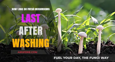 Fresh Mushrooms After Washing: Shelf Life and Storage Tips