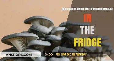 Fresh Oyster Mushrooms: Fridge Storage Lifespan and Tips