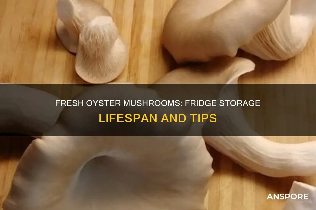 how long do fresh oyster mushrooms last in the fridge