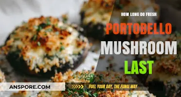 Fresh Portobello Mushrooms Shelf Life: Storage Tips for Maximum Freshness