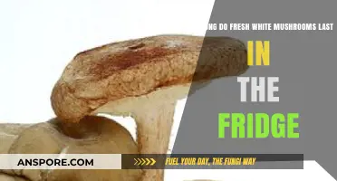 Fresh White Mushrooms: Fridge Storage Tips and Shelf Life Guide