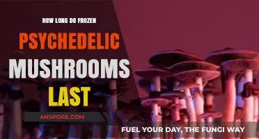 Frozen Psychedelic Mushrooms: Shelf Life and Storage Tips Revealed