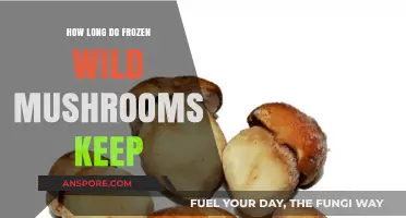 Frozen Wild Mushrooms: Shelf Life and Storage Tips for Freshness