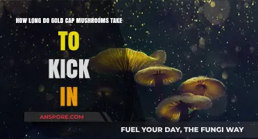 Gold Cap Mushrooms: Understanding the Onset Time for Effects