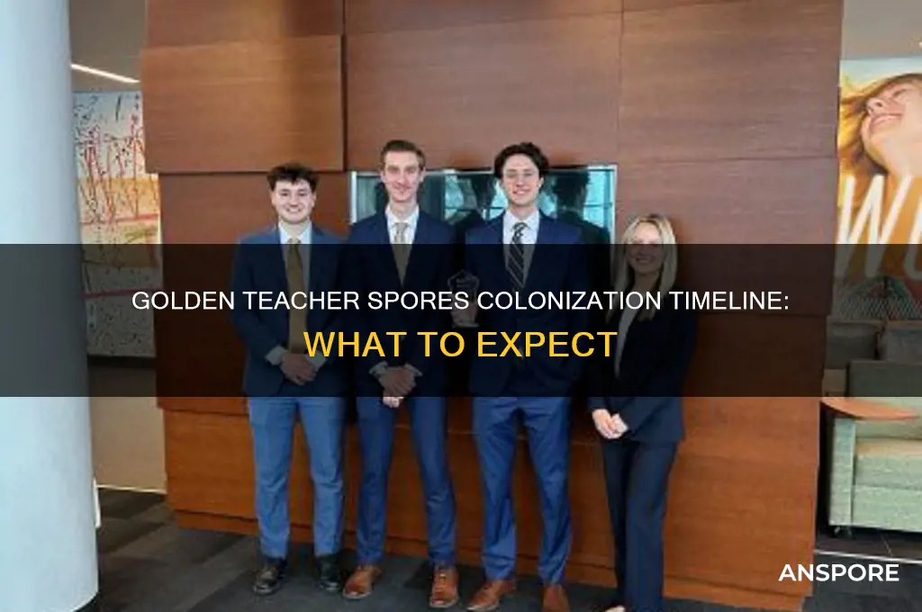 how long do golden teacher spores take to colonize