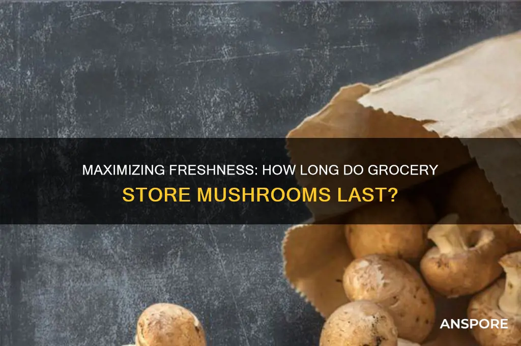 how long do grocery store mushrooms last