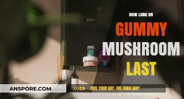Gummy Mushrooms Shelf Life: How Long Do They Stay Fresh?