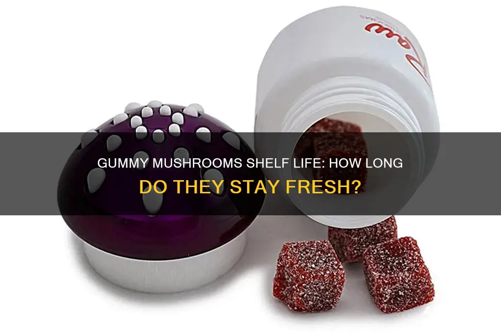 how long do gummy mushrooms last