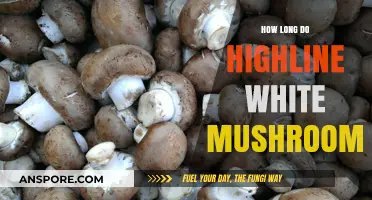 Highline White Mushrooms Shelf Life: Storage Tips for Freshness