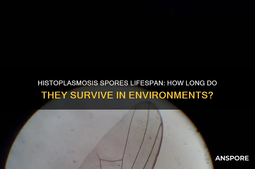 how long do histoplasmosis spores live