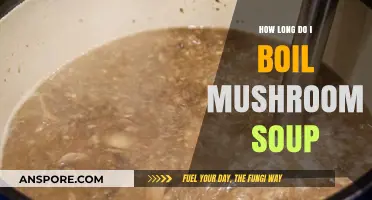 Perfect Mushroom Soup: Mastering the Ideal Boiling Time for Rich Flavor