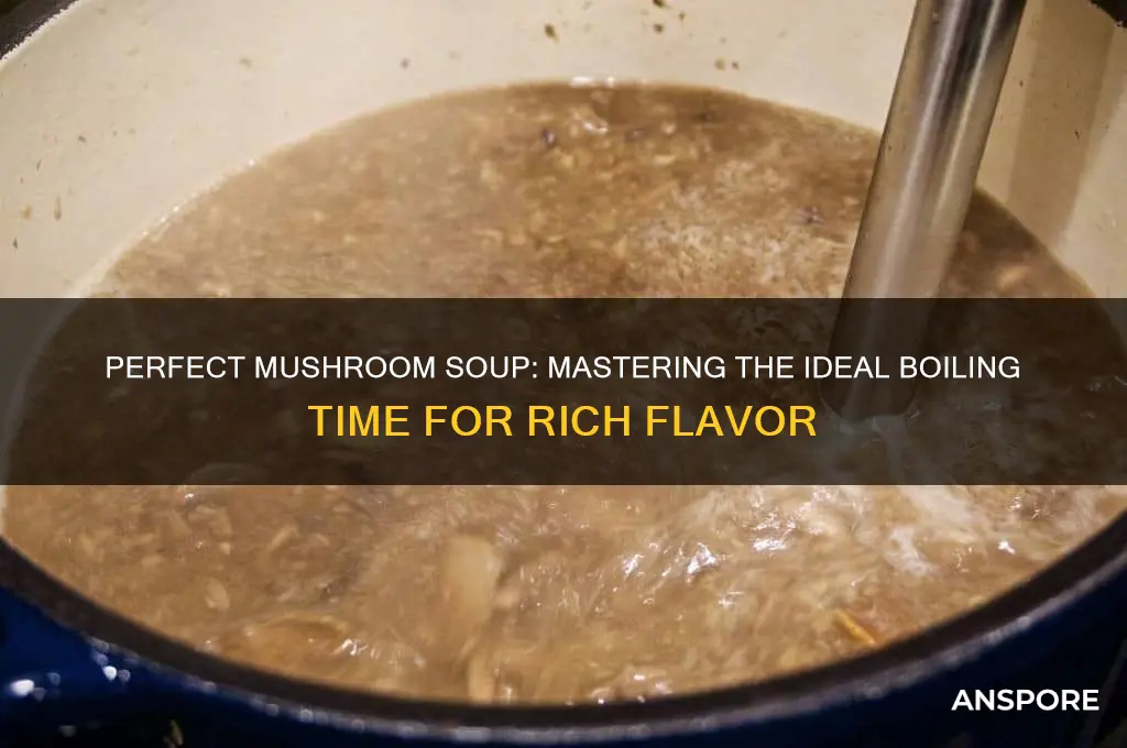 how long do i boil mushroom soup
