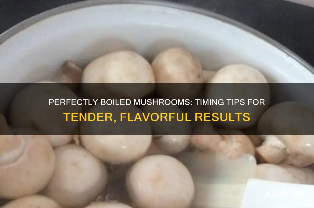 how long do i boil mushrooms