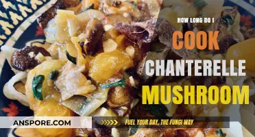 Perfectly Cooked Chanterelles: Timing Tips for Delicious Mushroom Dishes