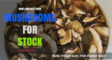 Perfect Mushroom Stock: Optimal Cooking Time for Rich, Flavorful Results
