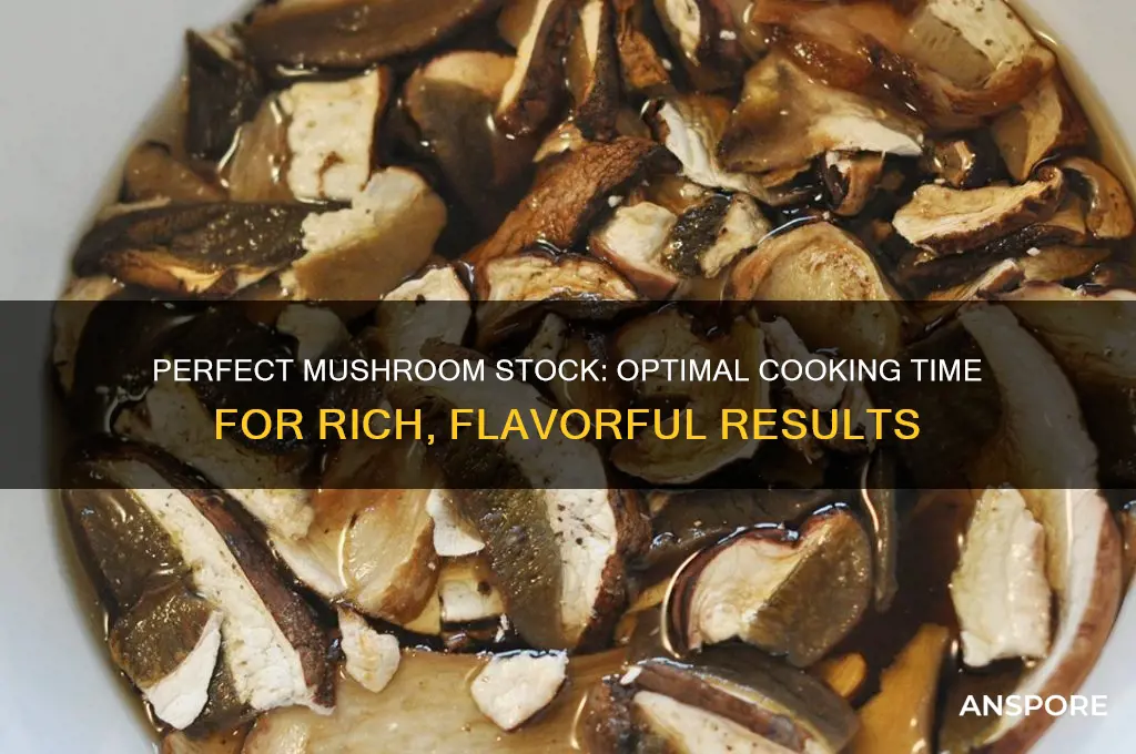 how long do i cook mushrooms for stock