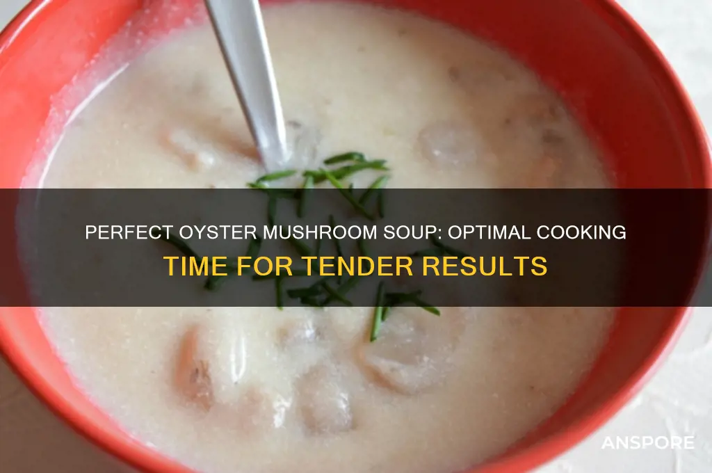 how long do i cook oyster mushrooms in soup
