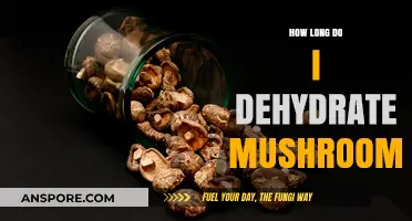 Dehydrating Mushrooms: Perfect Timing for Long-Lasting Flavor and Storage
