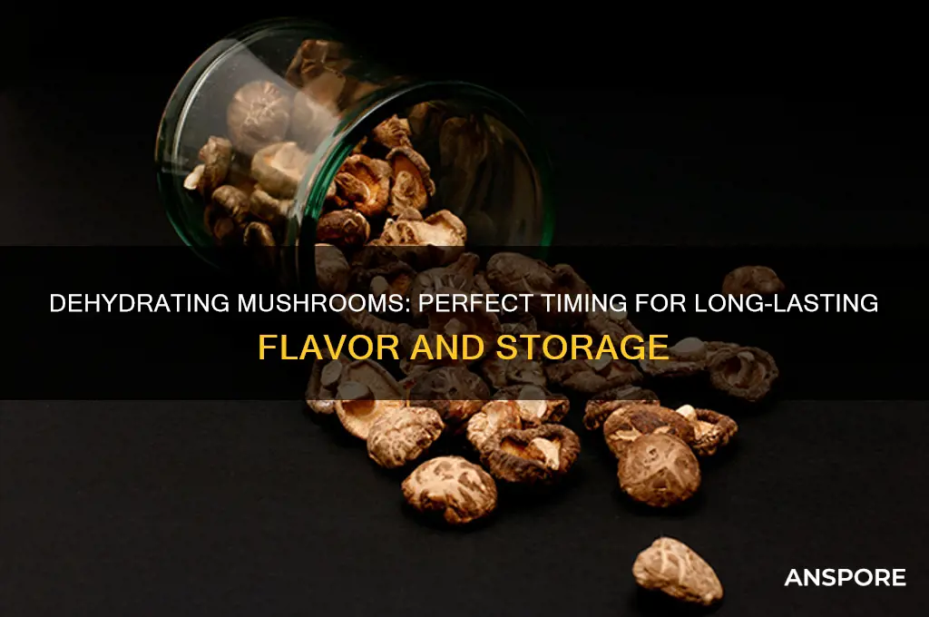 how long do i dehydrate mushrooms