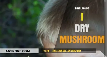 Perfectly Dried Mushrooms: Optimal Timing for Preserving Flavor and Texture