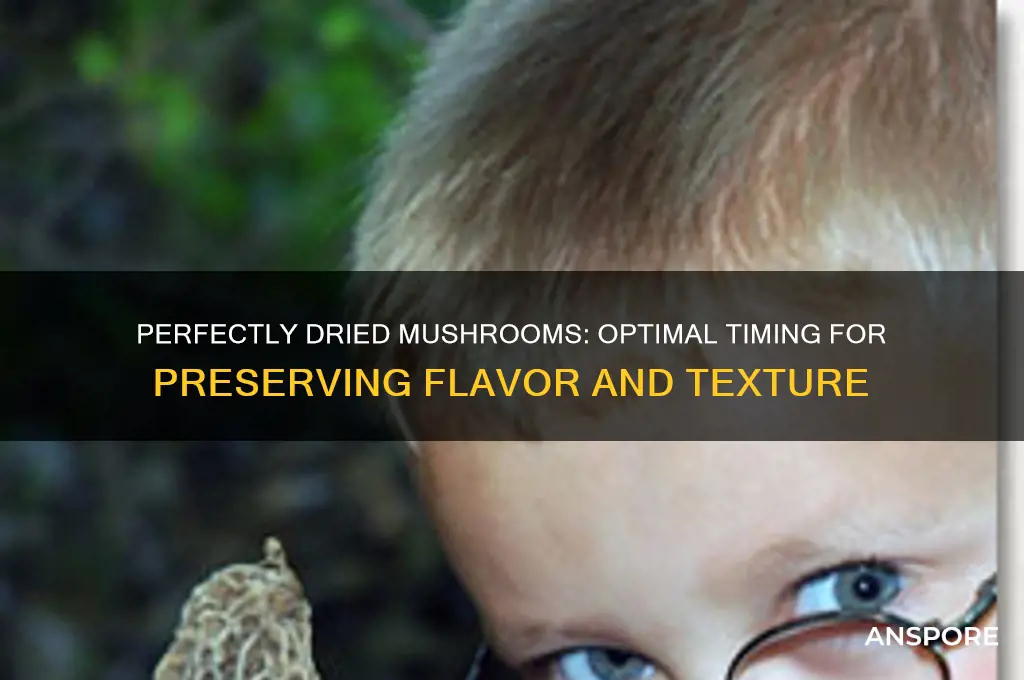 how long do i dry mushrooms