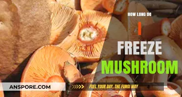 Freezing Mushrooms: Optimal Storage Time and Preservation Tips