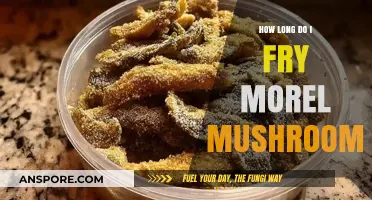 Perfectly Crispy Morel Mushrooms: Frying Time and Tips Revealed